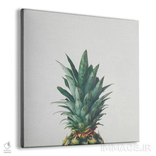 تابلو بالای آناناس اثر کاسیا بک - نمای پرسپکتیو محصول
