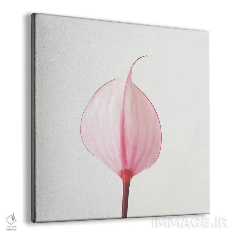 تابلو گل آرا کالای صورتی ۲ (گل کالا) اثر کاسیا بک - نمای پرسپکتیو محصول