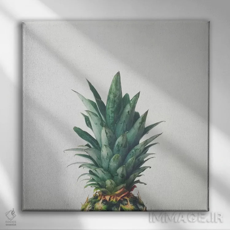 تابلو بالای آناناس اثر کاسیا بک - نمای روبهرو روی دیوار
