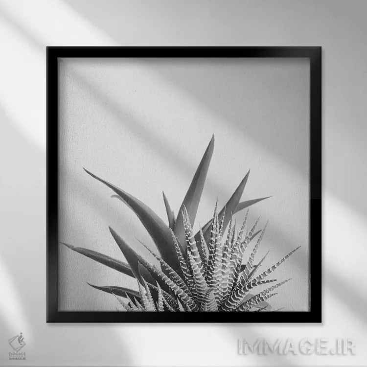 تابلو همپوشانی ۲ اثر کاسیا بک - نمای قابدار مشکی