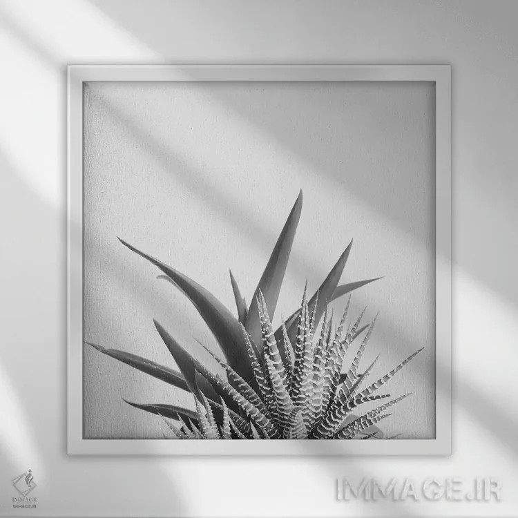 تابلو همپوشانی ۲ اثر کاسیا بک - نمای قابدار سفید