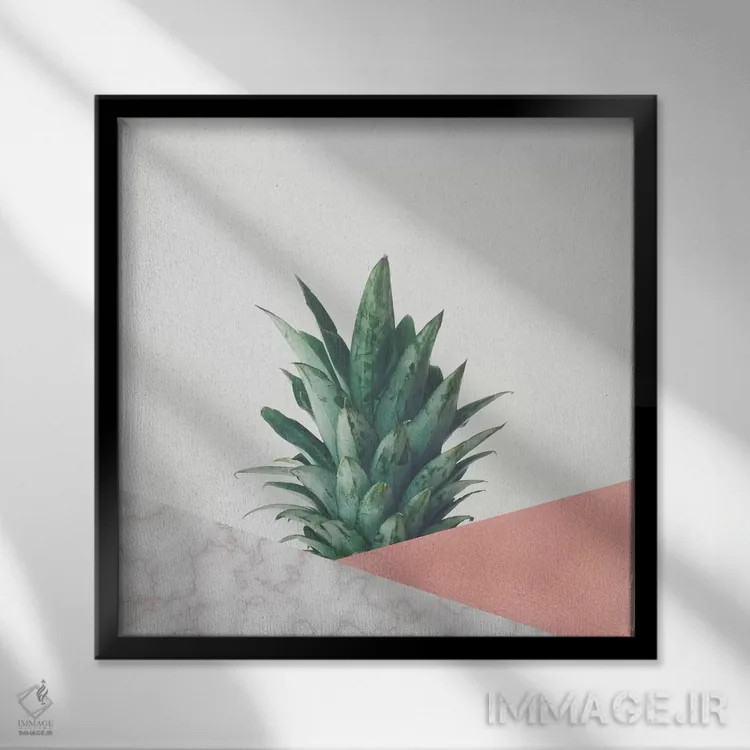 تابلو دیپ آناناس شماره ۶ اثر کاسیا بک - نمای قابدار مشکی