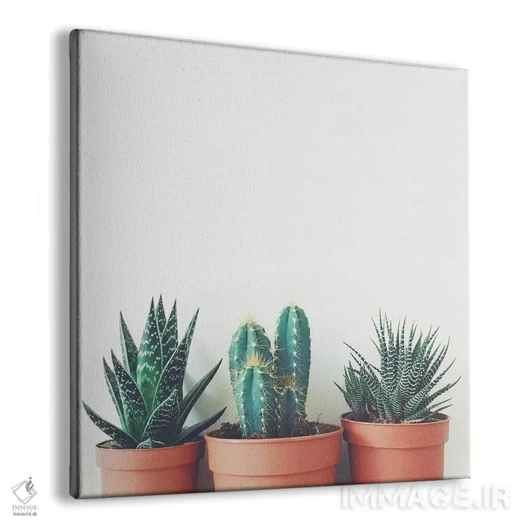 تابلو گیاهان گلدانی اثر کاسیا بک - نمای پرسپکتیو محصول