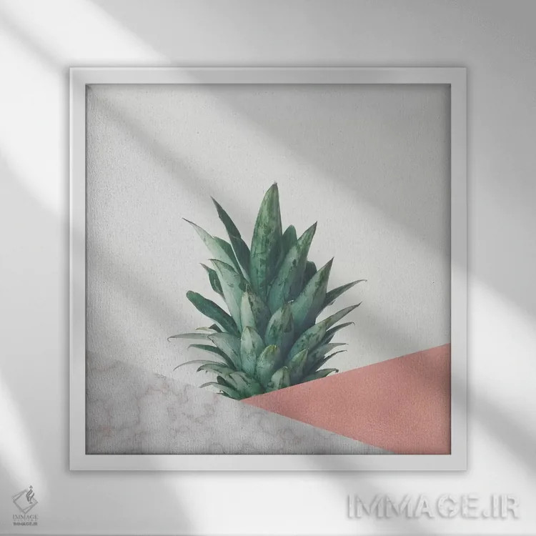 تابلو دیپ آناناس شماره ۶ اثر کاسیا بک - نمای قابدار سفید