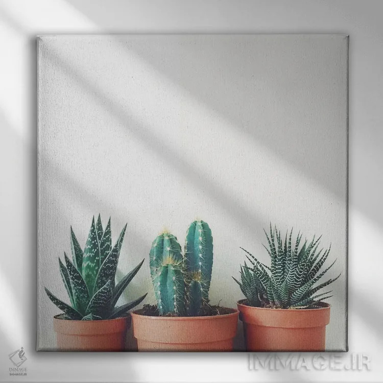 تابلو گیاهان گلدانی اثر کاسیا بک - نمای روبهرو روی دیوار