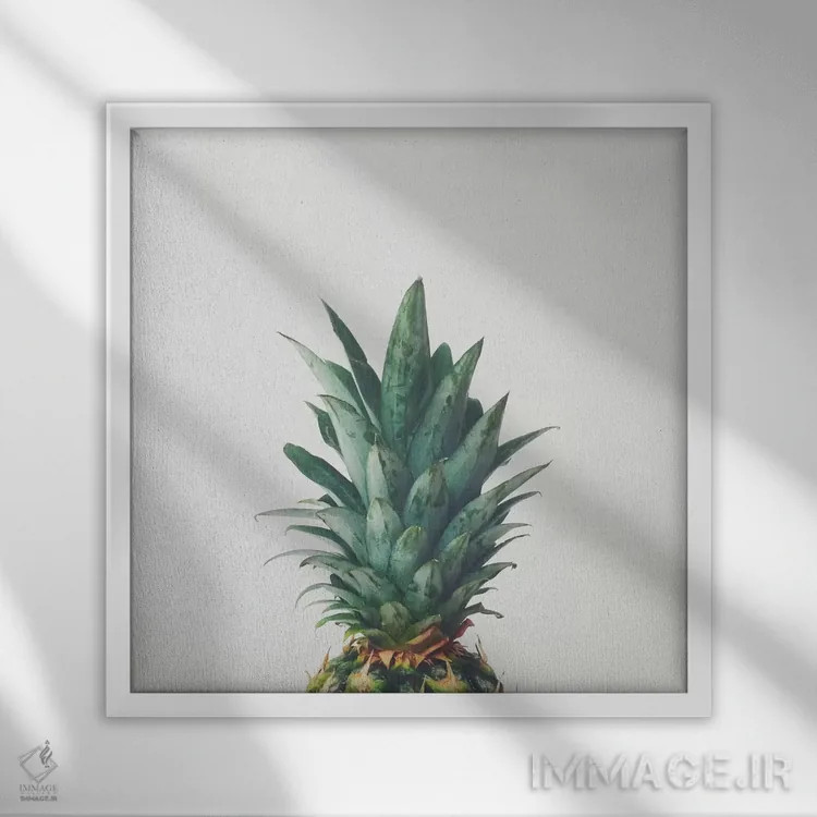 تابلو بالای آناناس اثر کاسیا بک - نمای قابدار سفید