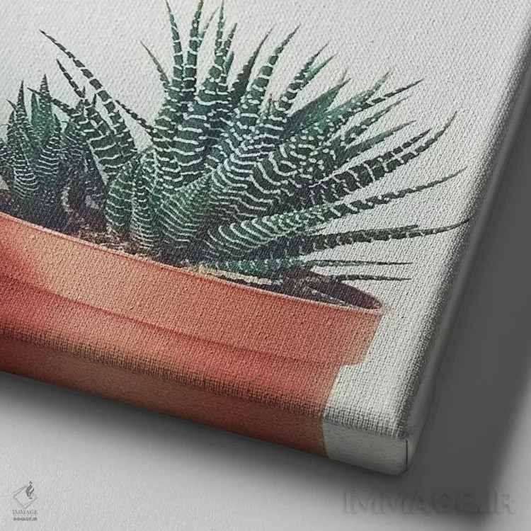 تابلو گیاهان گلدانی اثر کاسیا بک - نمای نزدیک بافت بوم