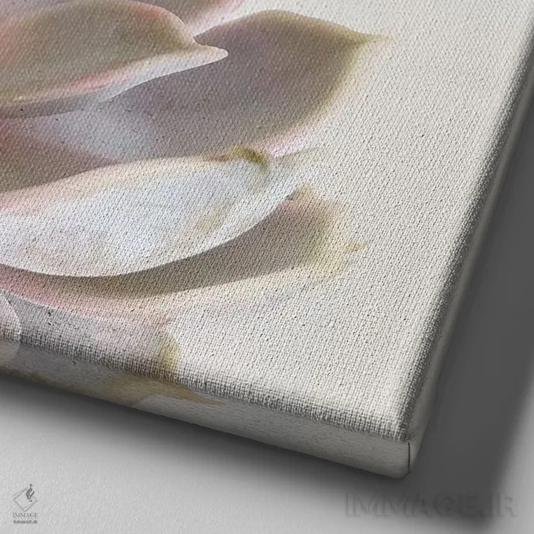 تابلو گیاه گوشتی صورتی (ساکولنت) اثر کاسیا بک - نمای نزدیک بافت بوم