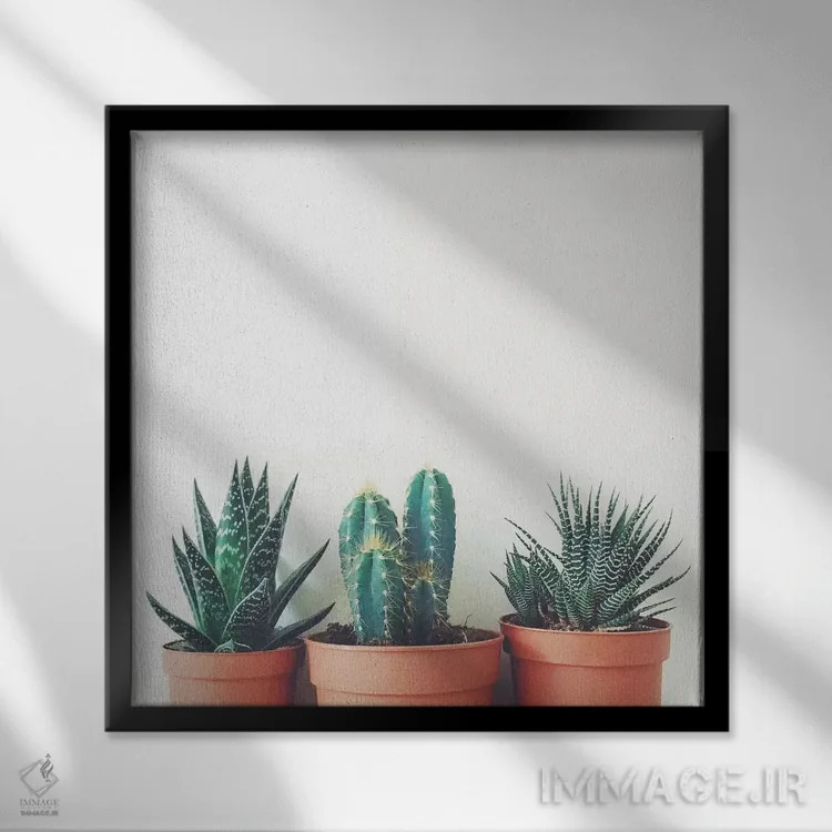 تابلو گیاهان گلدانی اثر کاسیا بک - نمای قابدار مشکی