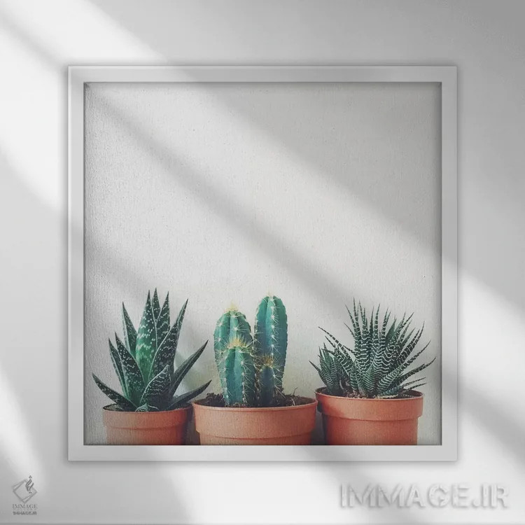 تابلو گیاهان گلدانی اثر کاسیا بک - نمای قابدار سفید