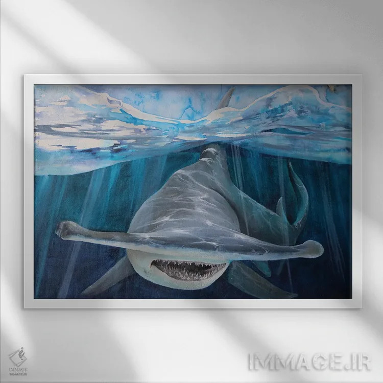 تابلو کوسه سر چکشی اثر کریس جیمز - نمای قابدار سفید