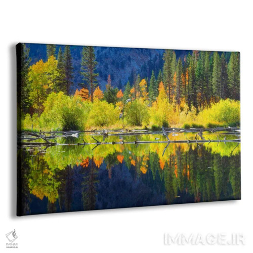 تابلو چشمانداز کوهستانی پرجنبوجوش و بازتاب آن، سیرا نوادا، کالیفرنیا، آمریکا اثر کریستوفر تالبوت فرانک - نمای پرسپکتیو محصول