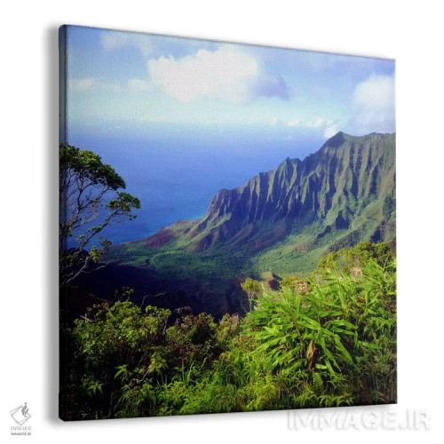 تابلو نمای کلی از دره کالالائو، پارک ایالتی ساحل ناپالی، کائوآئی، هاوایی، آمریکا اثر کریستوفر تالبوت فرانک - نمای پرسپکتیو محصول