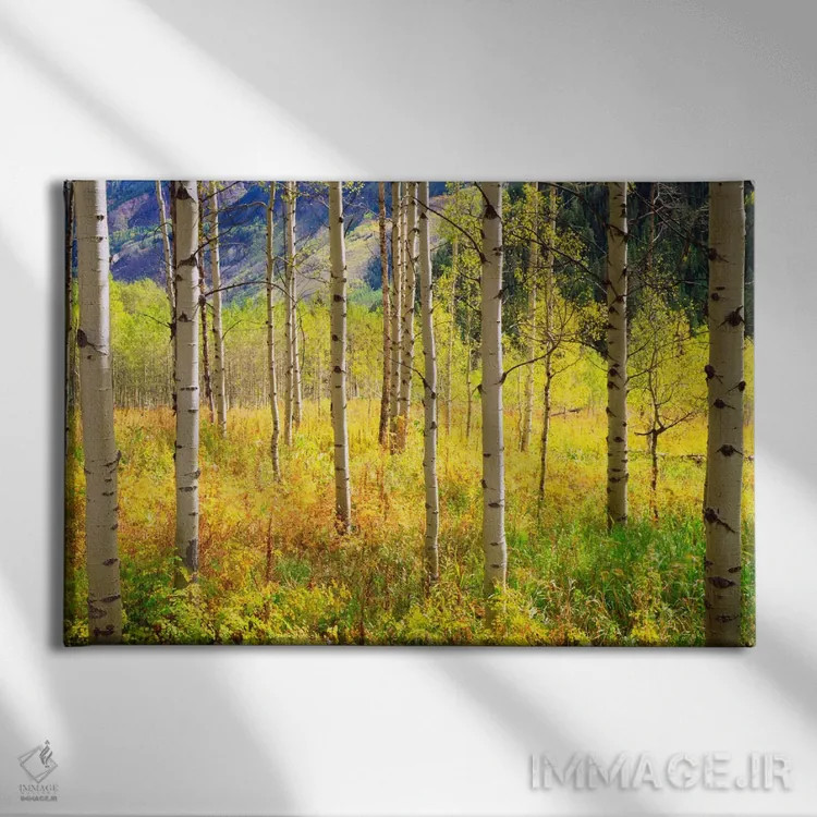 تابلو منظرهٔ پاییزی، کوههای راکی، کلرادو، آمریکا اثر کریستوفر تالبوت فرانک - نمای روبهرو روی دیوار