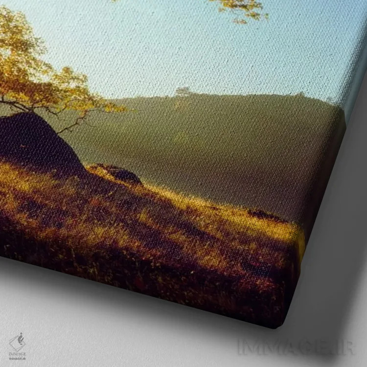 تابلو بلوط سیاه باشکوه زیر طلوع پاییزی، جنگل ملی کلیولند، کالیفرنیا، آمریکا اثر کریستوفر تالبوت فرانک - نمای نزدیک بافت بوم