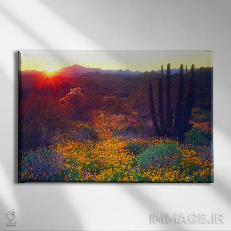 تابلو غروب خورشید بر فراز مناظر جنوب غربی آمریکا، یادبود ملی ارگان پایپ، شهرستان پیما، آریزونا، آمریکا اثر کریستوفر تالبوت فرانک - نمای روبهرو روی دیوار