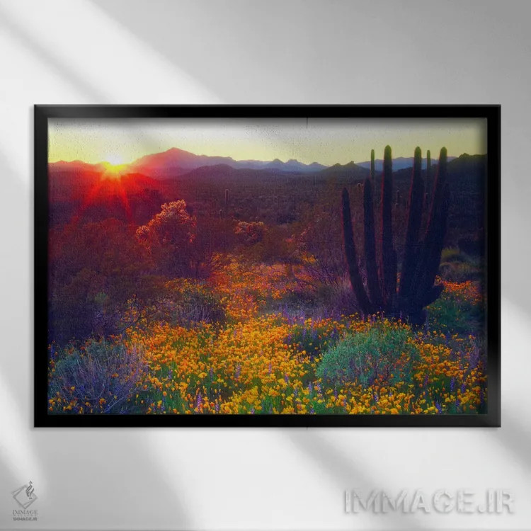تابلو غروب خورشید بر فراز مناظر جنوب غربی آمریکا، یادبود ملی ارگان پایپ، شهرستان پیما، آریزونا، آمریکا اثر کریستوفر تالبوت فرانک - نمای قابدار مشکی
