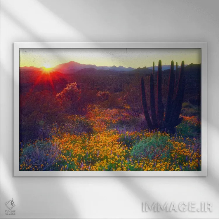 تابلو غروب خورشید بر فراز مناظر جنوب غربی آمریکا، یادبود ملی ارگان پایپ، شهرستان پیما، آریزونا، آمریکا اثر کریستوفر تالبوت فرانک - نمای قابدار سفید