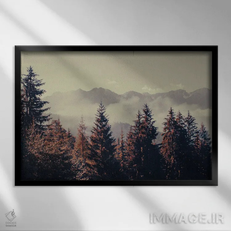تابلو جنگل کوهستانی اثر امانوئلا کاراتونی - نمای قابدار مشکی