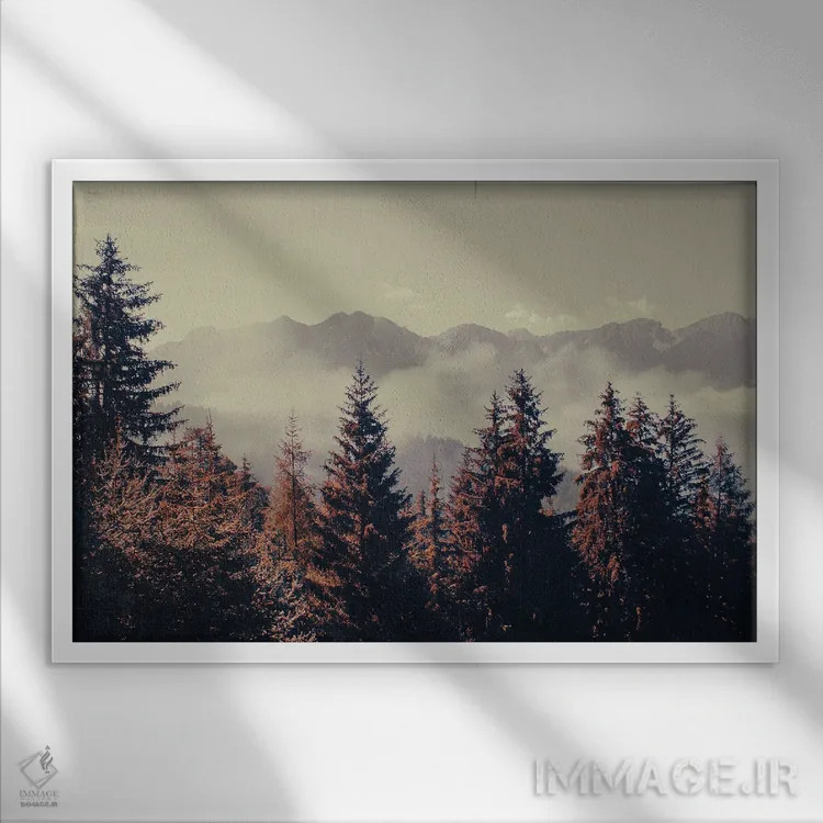 تابلو جنگل کوهستانی اثر امانوئلا کاراتونی - نمای قابدار سفید