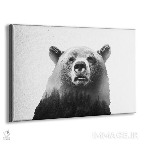 تابلو خرس بزرگ ۳ اثر امانوئلا کاراتونی - نمای پرسپکتیو محصول