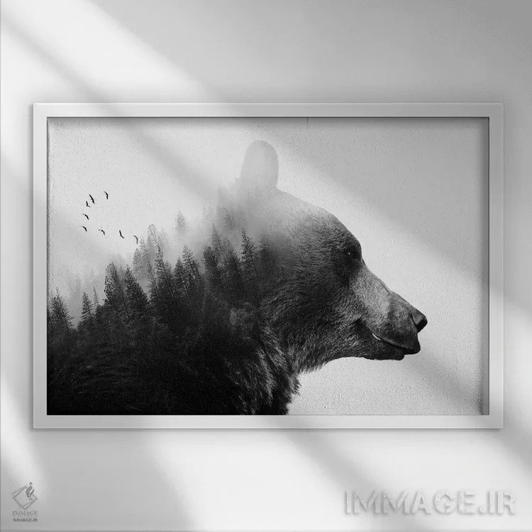 تابلو خرس بزرگ ۱ اثر امانوئلا کاراتونی - نمای قابدار سفید