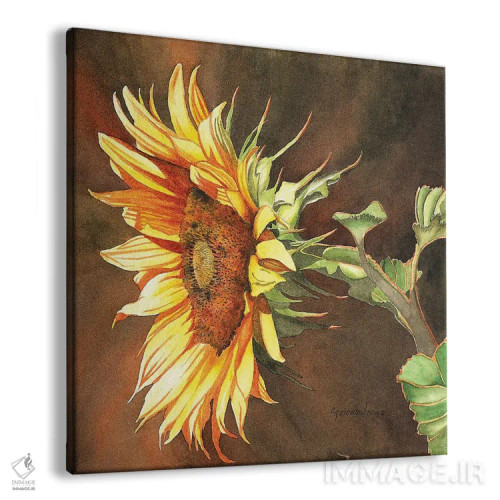 تابلو اینجا خورشید میآید اثر کریستین ریشو - نمای پرسپکتیو محصول