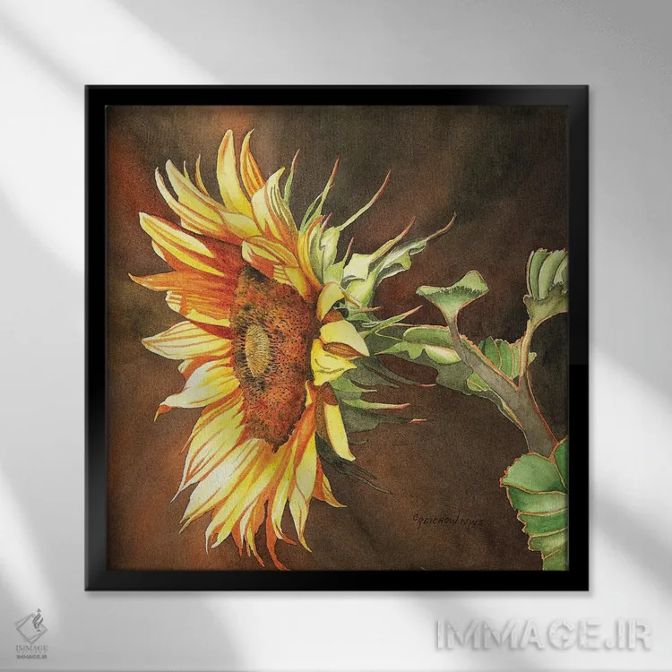 تابلو اینجا خورشید میآید اثر کریستین ریشو - نمای قابدار مشکی