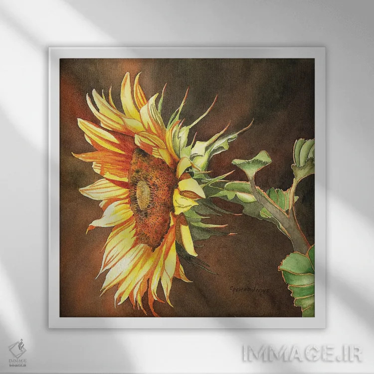 تابلو اینجا خورشید میآید اثر کریستین ریشو - نمای قابدار سفید