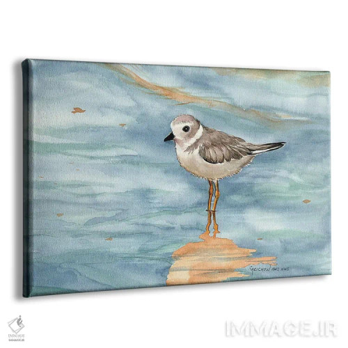 تابلو پایپینگ پلوور (نوعی پرنده) اثر کریستین ریشو - نمای پرسپکتیو محصول