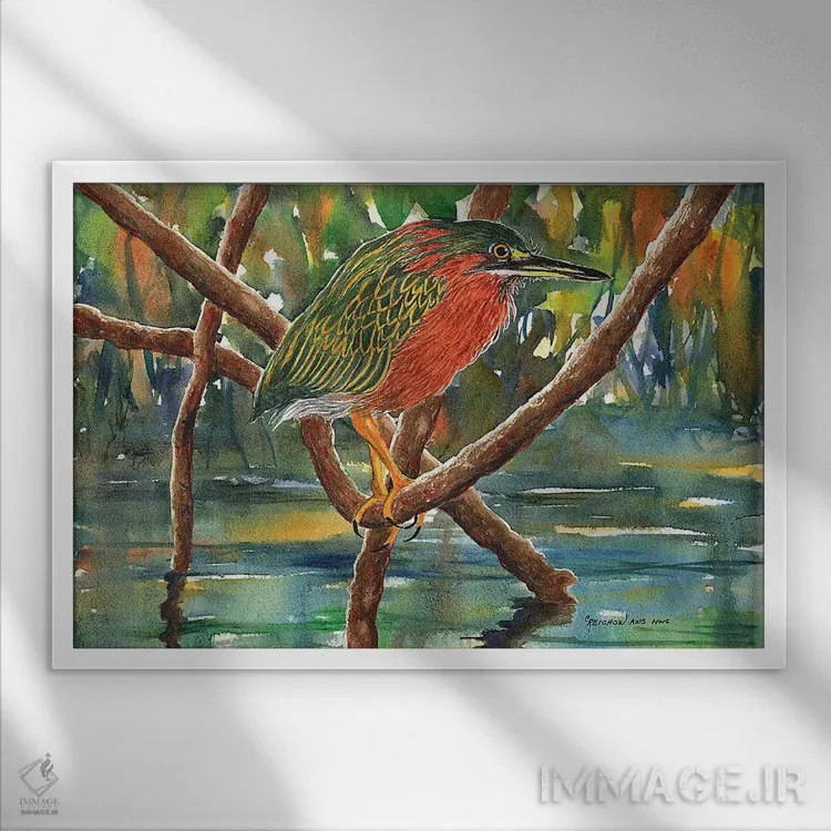 تابلو هتل مانگرو (مانگرو نوعی زیستگاه یا گیاه) اثر کریستین ریشو - نمای قابدار سفید