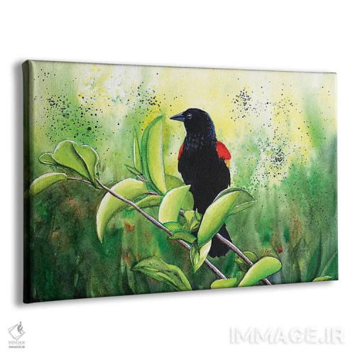 تابلو مرغ سیاه بالقرمز اثر کریستین ریشو - نمای پرسپکتیو محصول