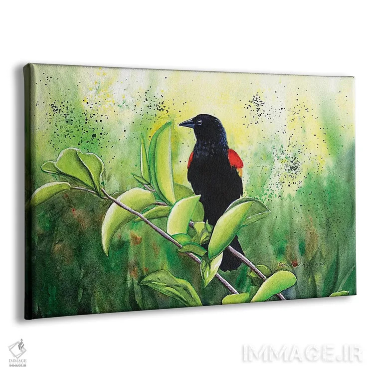 تابلو مرغ سیاه بالقرمز اثر کریستین ریشو - نمای پرسپکتیو محصول