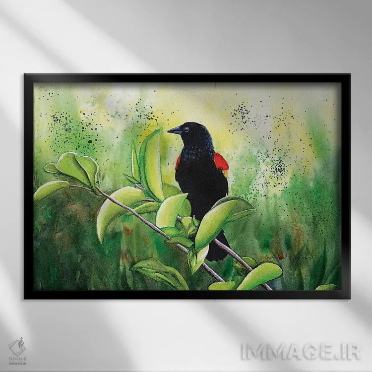 تابلو مرغ سیاه بالقرمز اثر کریستین ریشو - نمای قابدار مشکی