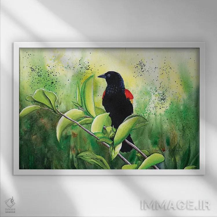 تابلو مرغ سیاه بالقرمز اثر کریستین ریشو - نمای قابدار سفید