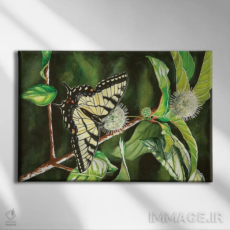 تابلو پروانهٔ دمچلچلهای روی بوتهٔ باتنبوش اثر کریستین ریشو - نمای روبهرو روی دیوار