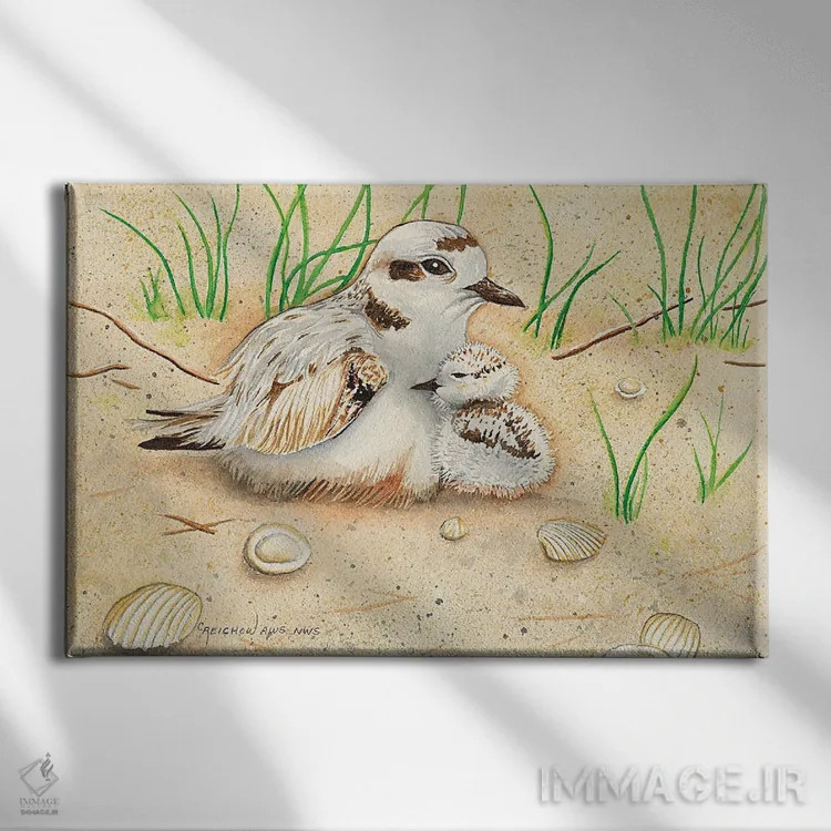 تابلو مادر و جوجهٔ زاغ گلوچر سفید اثر کریستین ریشو - نمای روبهرو روی دیوار