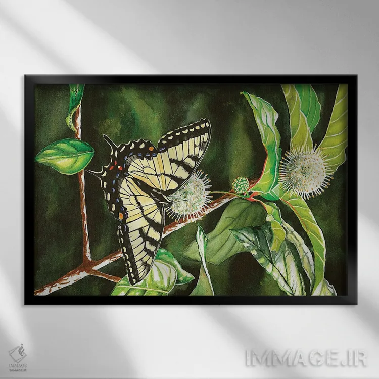 تابلو پروانهٔ دمچلچلهای روی بوتهٔ باتنبوش اثر کریستین ریشو - نمای قابدار مشکی