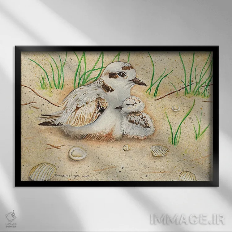 تابلو مادر و جوجهٔ زاغ گلوچر سفید اثر کریستین ریشو - نمای قابدار مشکی