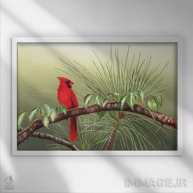 تابلو نشسته بر شاخهٔ روز اثر کریستین ریشو - نمای قابدار سفید