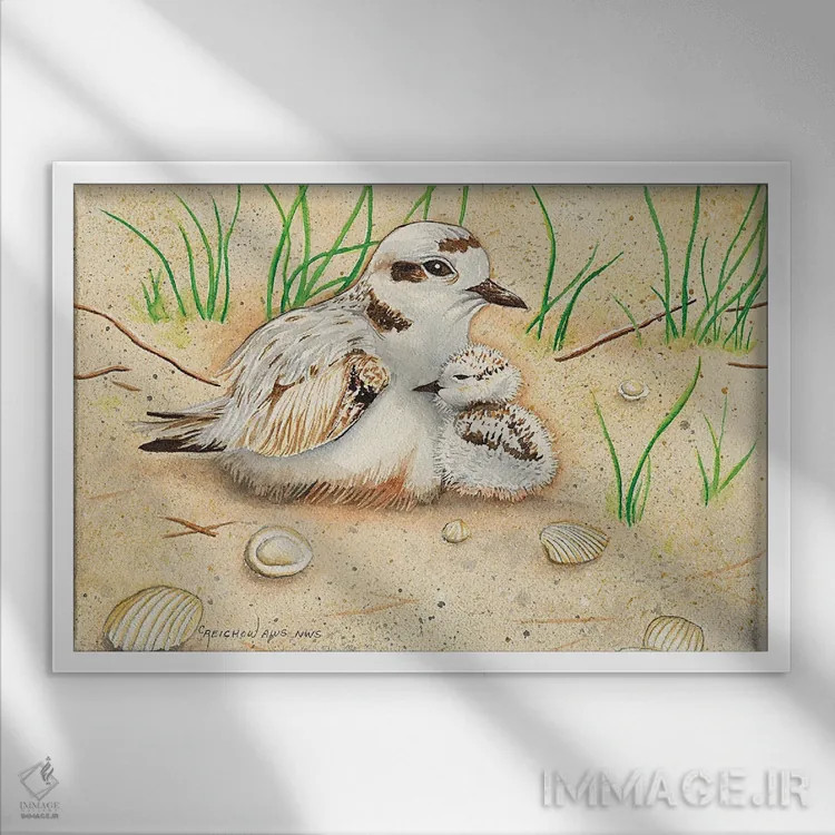 تابلو مادر و جوجهٔ زاغ گلوچر سفید اثر کریستین ریشو - نمای قابدار سفید