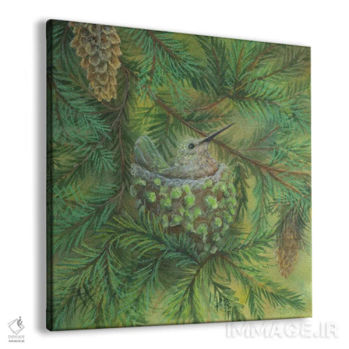 تابلو مرغ مگسخوار جنگل اثر کتی مککللند - نمای پرسپکتیو محصول