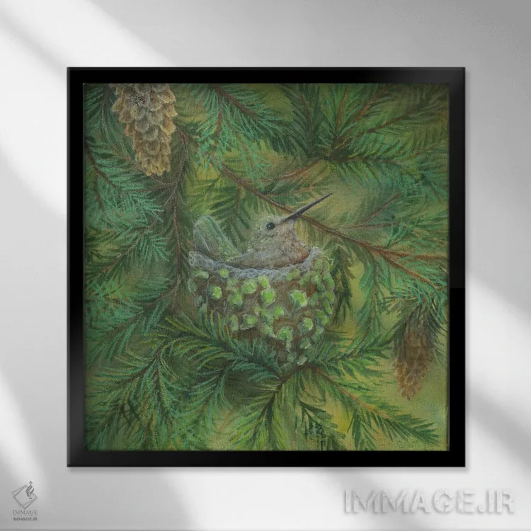 تابلو مرغ مگسخوار جنگل اثر کتی مککللند - نمای قابدار مشکی