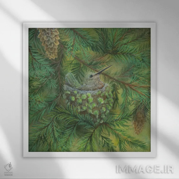 تابلو مرغ مگسخوار جنگل اثر کتی مککللند - نمای قابدار سفید