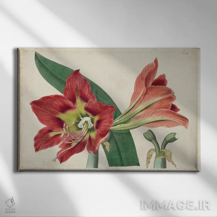 تابلو شکوه آمارلیس ۱ اثر جی.ام. هارت - نمای روبهرو روی دیوار