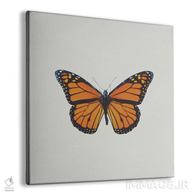 تابلو پروانه اثر چلسیا ویکتوریا - نمای پرسپکتیو محصول