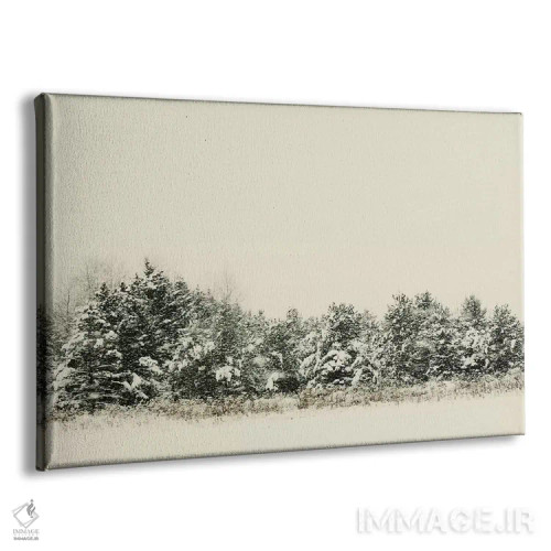 تابلو سایههای زمستانی ۱ اثر چلسیا ویکتوریا - نمای پرسپکتیو محصول