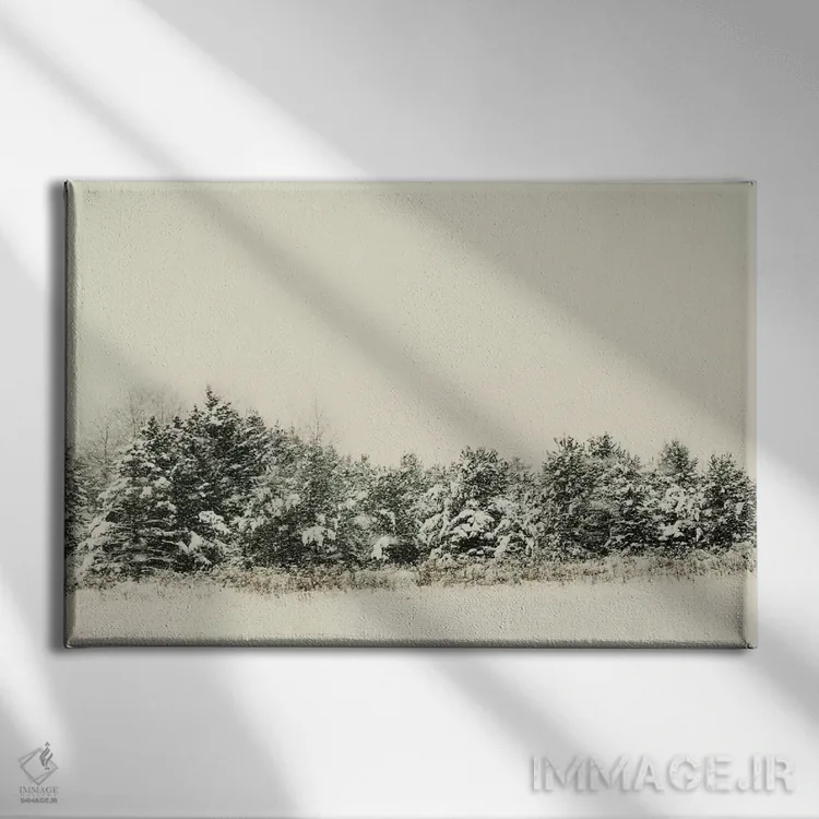 تابلو سایههای زمستانی ۱ اثر چلسیا ویکتوریا - نمای روبهرو روی دیوار