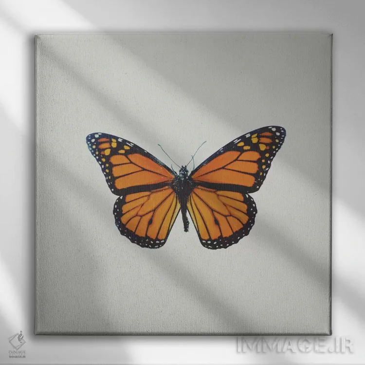 تابلو پروانه اثر چلسیا ویکتوریا - نمای روبهرو روی دیوار