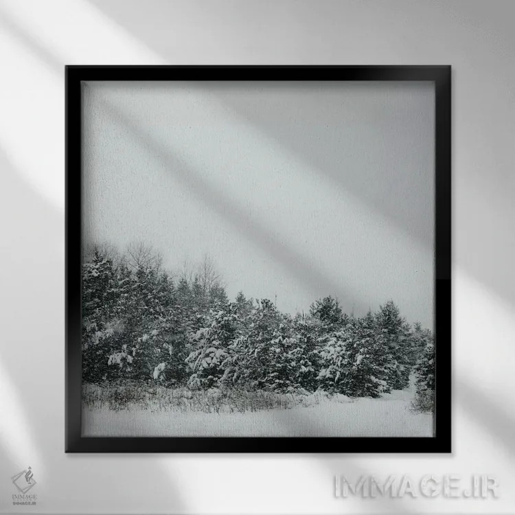 تابلو سایههای زمستانی ۲ اثر چلسیا ویکتوریا - نمای قابدار مشکی